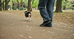 Legs, walking and woman with dog at park for care and love with companion and bonding together. Path, relax or pet beagle puppy in nature with person, loyalty and animal for trust or peace in Japan