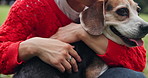 Hug, hands and woman with dog at park for care and love with companion and bonding together. Person, relax or pet beagle puppy in nature with stroke, loyalty and animal for trust or peace in Japan