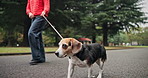 Woman, dog and walking with leash at park for bonding, animal care or love on road, path or city street. Japanese, female person and pet owner with canine for travel, stroll or fresh air in nature