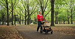 Asian woman, walking or dog with stroller in forest for bonding, travel or ride at outdoor park. Japanese, female person and pram with pet, animal or canine for adventure or journey together in woods