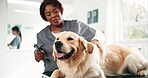 Woman, dog and trust for veterinary, help and consultation for ear health or hearing assessment. Animal shelter, healthcare and medical person with golden retriever, otoscope exam or inspection