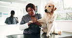 Trust, dog and paw for veterinary, woman and consultation with pet health or clinic assessment. Animal shelter, healthcare and medical person with golden retriever, inspection or checkup with love