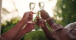 Champagne, cheers and friends with drinks in garden for social gathering, festive season and party. New years eve, Christmas and men and women toast for celebration, holiday and vacation together