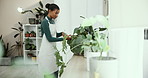 House, plants and woman with spray bottle, apron and water with natural development. Care, happy person and girl with sustainability, apartment and botany with routine, hobby and hydration in lounge