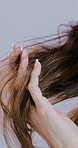 Hair, damage and hands of woman in studio for grooming, wellness and treatment on white background. Beauty, haircare and person with strands for healthy texture, growth and maintenance for split ends