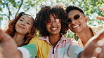 Selfie, group and friends with smile, park and photography for reunion in nature, face and bonding. Outdoor, happy and profile picture for influencer, memory and people with shades in summer or break