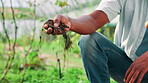 Agriculture, soil and sustainability with hand of farmer outdoor in countryside for inspection. Earth, environment and ground with person testing dirt for organic crop planting in farming industry