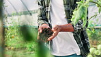 Agriculture, dirt and sustainability with hands of farmer outdoor in countryside for inspection. Earth, environment and soil with person testing ground for organic crop planting in farming industry