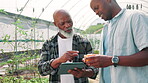 Greenhouse, farmer and men with tablet, vegetables and inspection of crops with tech and environment. Agriculture, entrepreneur and black people in sustainable business, teamwork or quality assurance