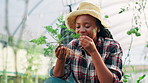 Aroma, herb and smile with black woman in farm greenhouse for agriculture, inspection or sustainability. Growth, plant and smelling with happy farmer person checking crop progress in countryside