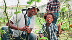 Greenhouse, father and child with plants for farming, production and happy African boy learning. Vegetables, agriculture and family with food growth for discussion, teaching or help to check tomatoes