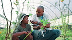 Greenhouse, father and boy with agriculture, smelling and teaching with sustainability. African family, dad and son with help, talking and learning with environment, gmo specialist and countryside