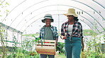 Woman, child and groceries crate on farm, carrying produce and teamwork with organic agriculture. Black family, eco friendly and help with vegetable business, supply chain and growth at greenhouse