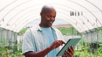 Greenhouse, internet or black man with tablet, smile or gmo specialist with app for crop inspection. African person, agriculture or farmer with tech, genetic engineering or sustainability with growth