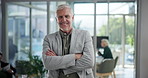 CEO, face and business man with arms crossed in office with chief investment officer at hedge fund. Portrait, financial manager and happy executive, confident director or mature professional laughing