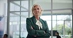 Face, serious manager and business woman, chief investment officer and confidence at hedge fund. Mature ceo, portrait and financial executive, company director and professional with arms crossed