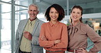 Office, group and face of happy business people for about us, confidence and company pride. Professional, corporate consultants and portrait of men and women for collaboration, support and growth