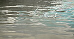 Plastic pollution, container and floating in water at beach for poor waste management and global litter problem. Nature, rubbish and garbage in ocean for recycling fail, dirt and environmental hazard