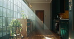 Empty, house and plants in kitchen, furniture and eco friendly with sunlight, window and real estate. Interior design, lens flare and property with decor in morning, rental and architecture of home