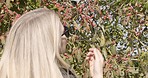 Nature, berries and woman picking snack in a garden, calm and content outdoors. Farm, visit and girl choosing fruit at sustainable orchard farmland in the countryside for travel, explore and fun