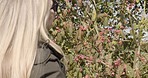 Garden, woman and berries picking in nature for snack, calm and content outdoors. Farm, visit and girl choosing fruit at sustainable orchard farmland in the countryside for travel, explore and fun