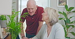 Laptop, help and relax with old couple at home for networking, social media and online shopping. Website, search and learning with senior man and woman for communication, internet and technology