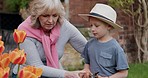 Woman with boy working in garden or backyard with grandmother. Senior woman and child with plants for sustainability, love and nature with family outdoor, gardening flowers  at home