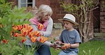 Woman with boy working in garden or backyard with grandmother. Senior woman and child with plants for sustainability, love and nature with family outdoor, gardening flowers  at home