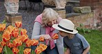 Woman with boy working in garden or backyard with grandmother. Senior woman and child with plants for sustainability, love and nature with family outdoor, gardening flowers  at home