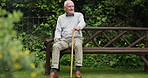 Senior man, park and memory on garden bench, walking cane and retirement with a smile and calm. Nature, backyard and outdoor with an elderly man with freedom and happy from plants and sitting