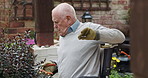 Wheelchair, back pain and senior man in a garden with arthritis, stress or joint cramps outdoor. Poster, inflammation and elderly male with a disability in backyard with fibromyalgia or osteoporosis