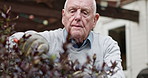 Gardening, plants and senior man with flowers outdoors for fresh air, wellness and hobby. Retirement, relax and elderly person with disability in backyard with floral bloom for landscaping or prune