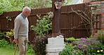 Walking stick, garden and elderly man with flowers for fresh air, wellness and relax outdoors. Retirement, spring and senior person walk in backyard with plants for gardening, landscaping and peace