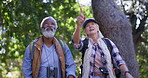 Old couple, hiking and outdoor talking on holiday, fitness adventure and conversation in nature. People, sightseeing and together for view in countryside, tourist travel and trekking in Mexico forest