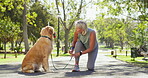 Shoes, tie and mature woman with dog in park for exercise, recreation or walking together. Fitness, leisure or training with animal and senior pet owner outdoor in nature for retirement or wellness