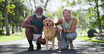Mature, interracial couple and nature with dog for animal care or bonding together at park. Portrait, senior man and woman with friendly pet, labrador or golden retriever for love with companion