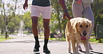 Interracial couple, legs and walking with dog at park for bonding, animal care or fresh air in nature. Man, woman and pet with leash for stroll together on path, road or sidewalk at outdoor forest