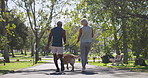 Interracial couple, back and walking with dog at park for bonding, animal care or fresh air in nature. Mature man, woman and labrador with leash for stroll together on path or road at outdoor forest
