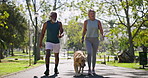 Mature, interracial couple and walking with pet dog at park for bonding, animal care or fresh air in nature. Active man, woman and labrador with leash for stroll together on path at outdoor forest