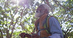 Senior, man and hiking with stick in forest for retirement wellness, adventure or exploring trail. Black person, lens flare and walk with help in woods for exercise, trekking or holiday with backpack