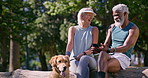 Mature couple, phone and relax in park with dog, funny message and social media on log. Happy man, woman and Golden Retriever with mobile for contact, cute animal blog and care for pet in nature