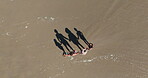 Family, above and holding hands with walking on beach for summer vacation, tropical journey and bonding together. Parents, children and ocean water with holiday fun, calm morning and travel adventure