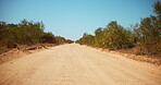 Road, nature and dirt with trees for path, travel and scenic view for vacation or holiday in the outdoors. Desert, environment and countryside for safari, adventure or getaway for summer freedom