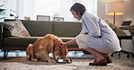 Bonding, eating and woman with dog in living room in home for love, connection or companion. Happy, adoption and female person on floor with golden retriever pet for food, treats or training in house