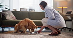 Woman, dog and bowl for food, home and care with nutrition, wellness and eating in living room. Person, animal and pet labrador with container for snack, meal and supplement for diet at apartment
