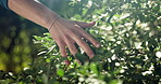 Nature, hand and person by bush of plants for sustainability, eco friendly or horticulture. Outdoor, garden and closeup of botanist touch green leaves for connection in park for ecology environment.