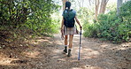 Backpack, hiking and woman with fitness, walking and nature with weekend break, recreation and health. Person, outdoor and hiker in forest, stick or travel with journey, wellness and relax with hobby