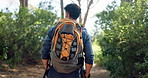 Backpack, hiking and man with fitness, walking and nature with weekend break, recreation and hobby. Person, outdoor and hiker in forest, stick and travel with journey, wellness and relax with health