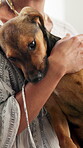 Home, person and love for dog, petting and owner with care for companion, bonding or domestic animal. Together, affection and rescue puppy with loyalty in house, relax or canine for emotional support