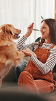 Training, trick and treat with woman and dog for teaching paw, animal adoption and support. Love, learning and foster care with person and golden retriever pet at home for loyalty, food and bonding